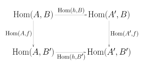 Hom Functor